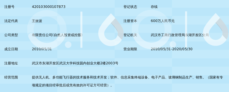 武汉软件开发：助力企业精准布局数字未来
