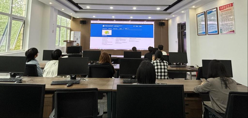 软件定制开发：助力企业数字化转型